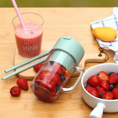 Portable Crusher Juicer With Mini Juice Cup & Straw (500ml)